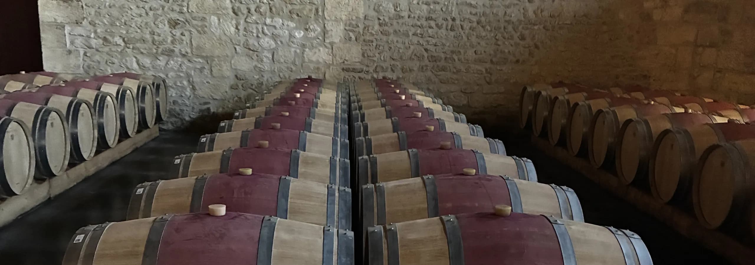 Ruhende Barriques im Fasslager von Château Pontet-Canet — eigene Aufnahme