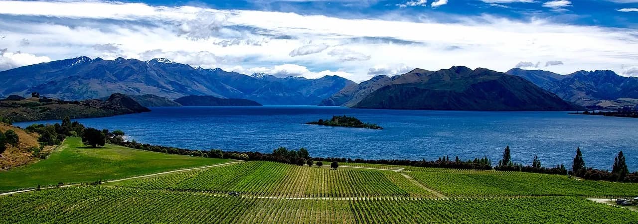 Weinberge mit See und Bergen, Neuseeland