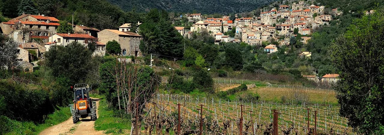 Dorf und Weinberge in Südfrankreich