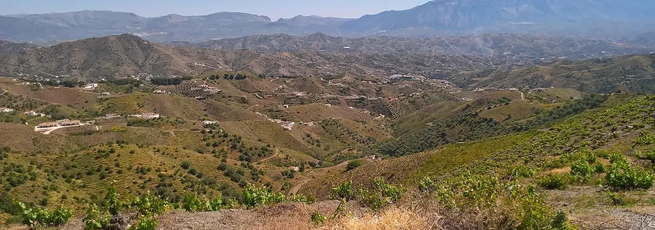 Weinberge in der Sierra bei Málaga, Spanien — Motiv für Priorat