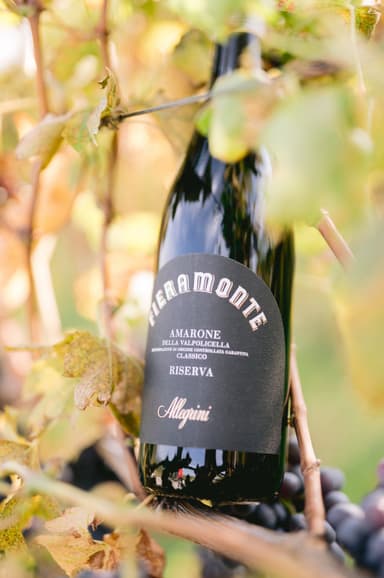 Allegrini 2016 Allegrini, Fieramonte