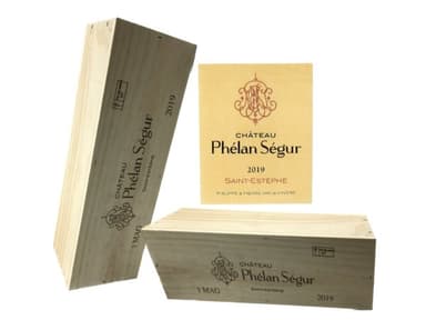 Chateau Phelan Segur 2019 Magnum in 1er OHK