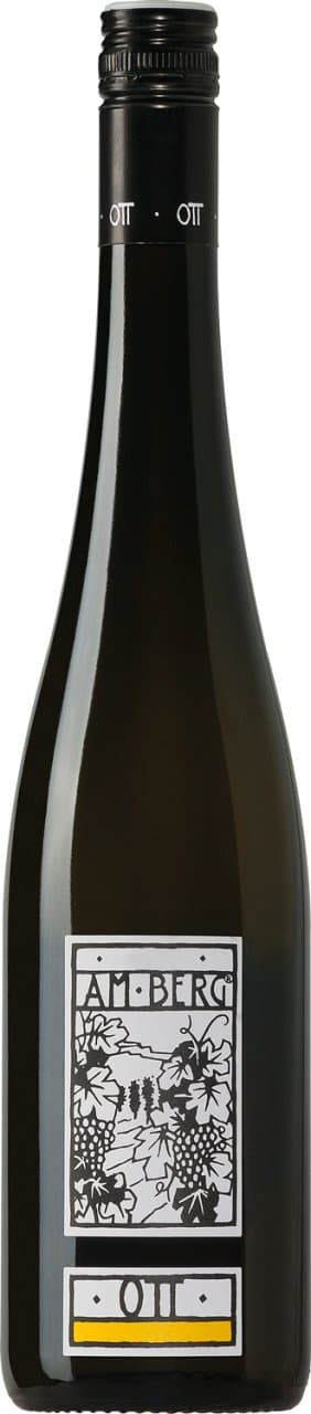 Bernhard Ott 2024 Grüner Veltliner Am Berg