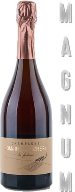 Champagne de Bichery Les Fontaines Rose 2021 MAGNUM 1,5-L