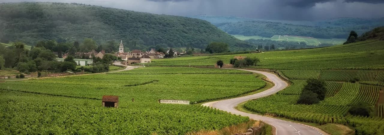 Straße durch die Weinberge des Burgund