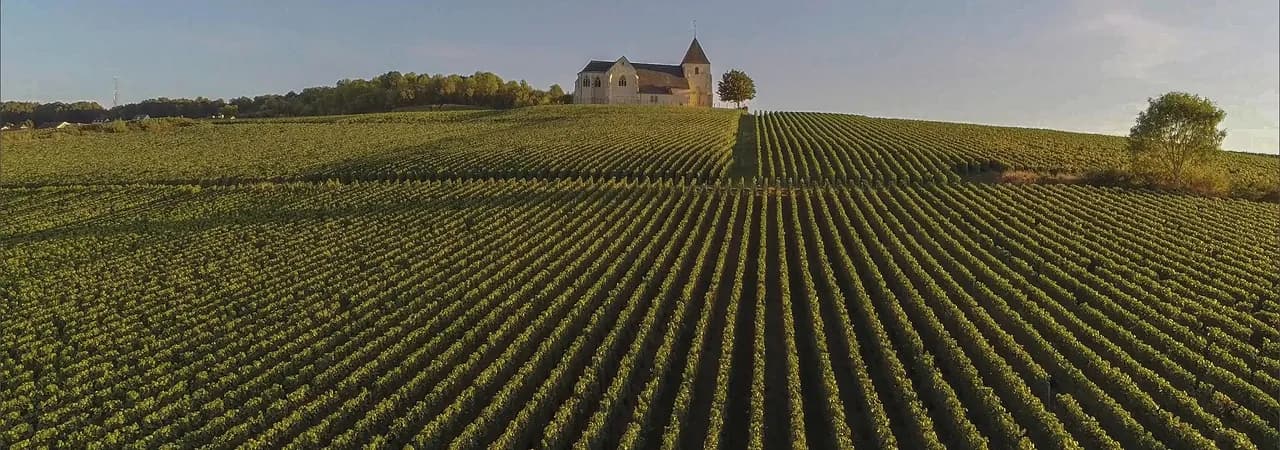 Weinberge der Champagne