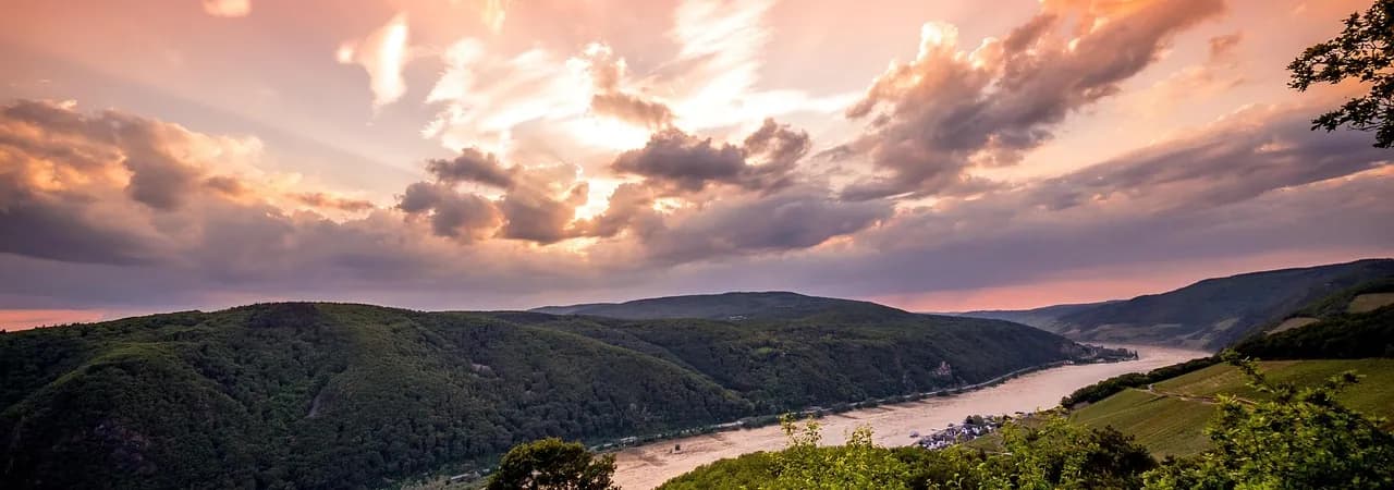 Rhein bei Assmannshausen mit Weinbergen